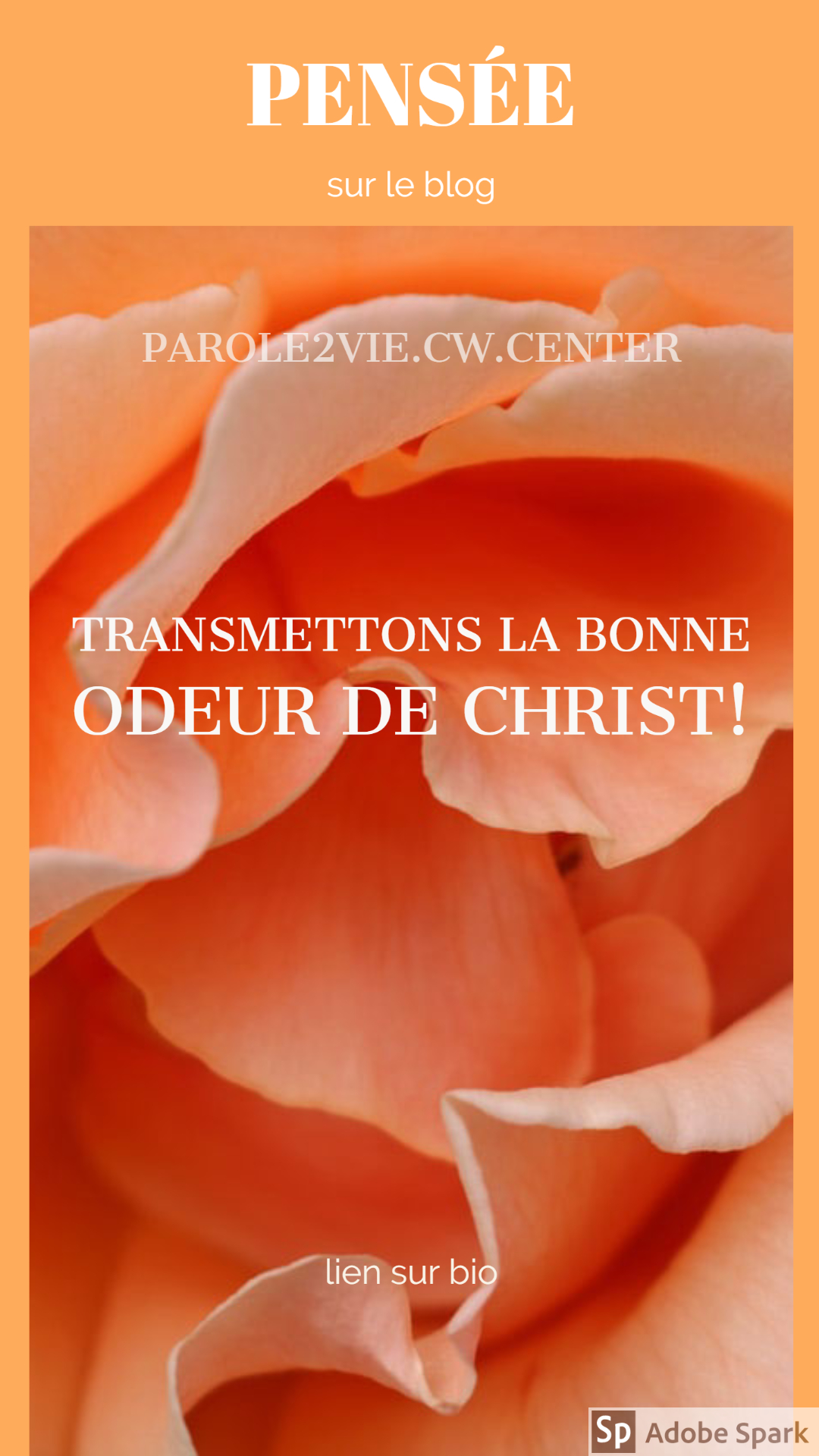 TRANSMETTONS LA BONNE ODEUR DE CHRIST